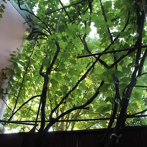 Hostel Old Sololaki, Tbilisi